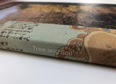 tree soil fukushima