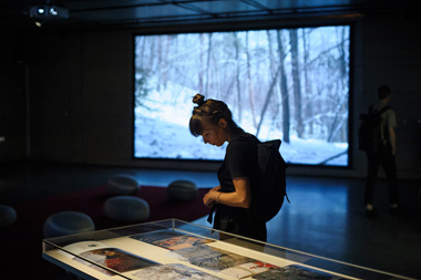 tree soil exhibition